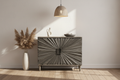 2-Door Storage Cabinet in Interior Scene